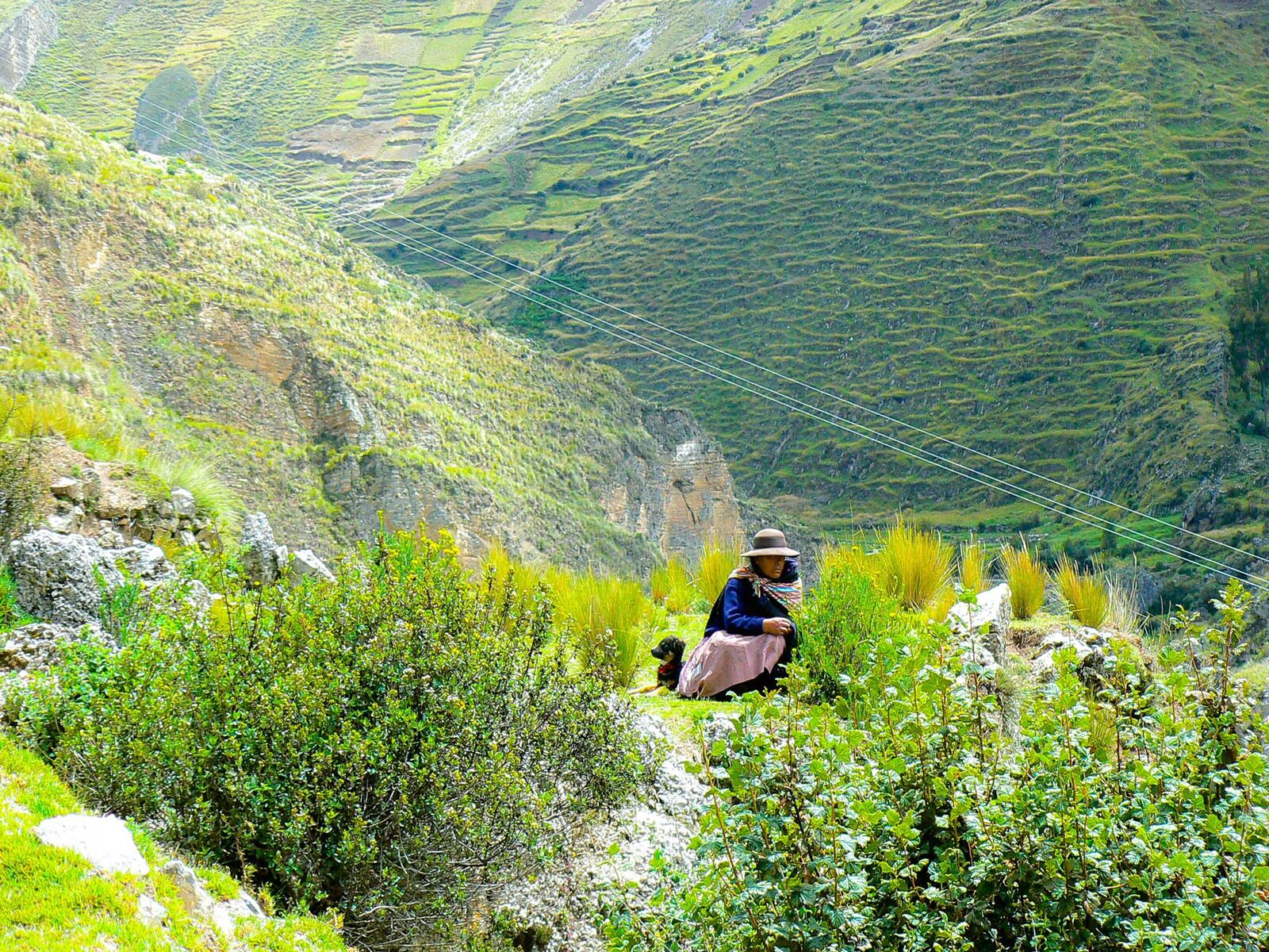 Lagunas y puna de los Andes
